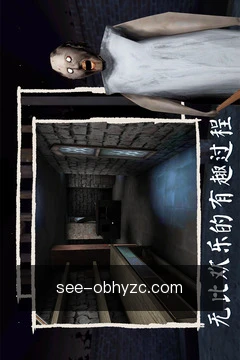 查看进度