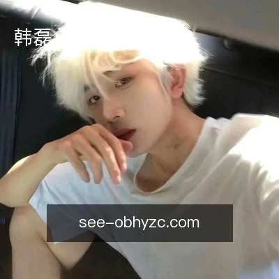 韩磊